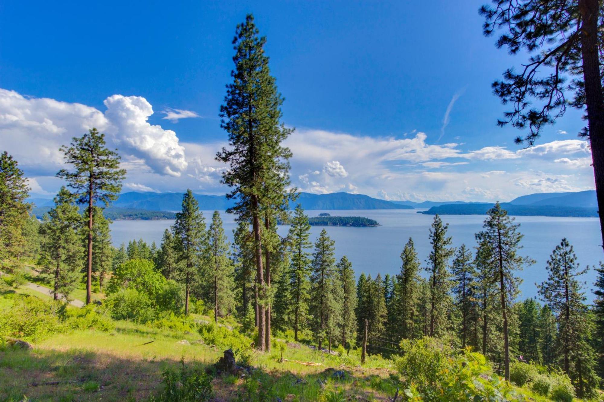 Driftwood 5 Apartment Sandpoint Exterior foto